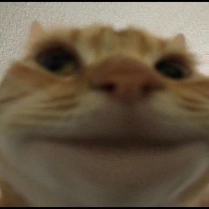 Meet your Posher, Johnathan